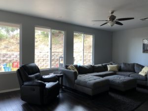 Before Window Treatments