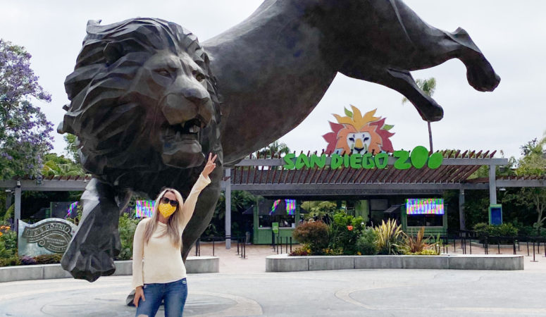 San Diego Zoo Reopening: Everything You Need to Know Before You Go