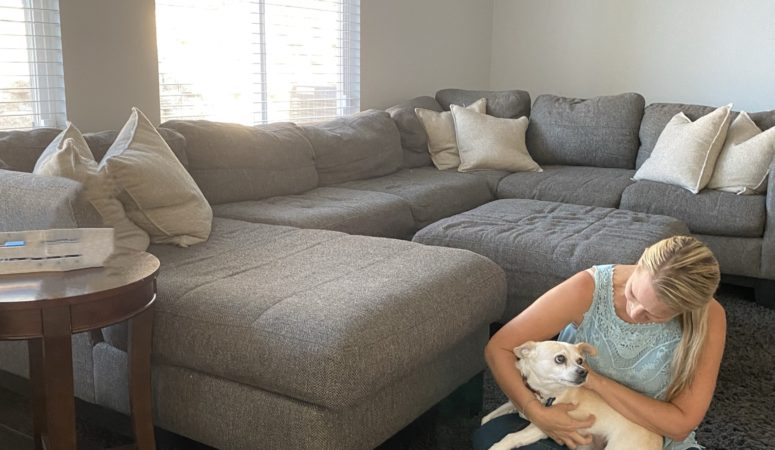 Celebrate Fur Friends this Thanksgiving with VETSGIVING