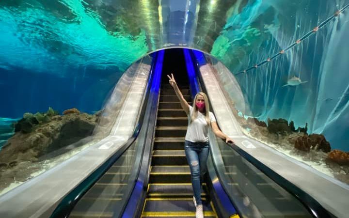 Family Fun at the OdySea Aquarium in Arizona